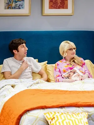 Big Bang Theory S11 E6