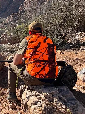 Sangliers marocains, les battues du Haut-Atlas