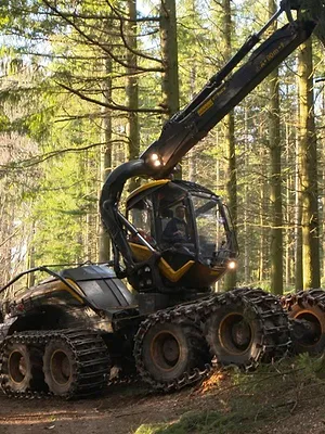 Bûcheron : un métier à hauts risques