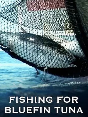 A Tutto Tonno - La Pesca del Tonno Rosso