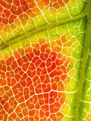 Le cycle des saisons