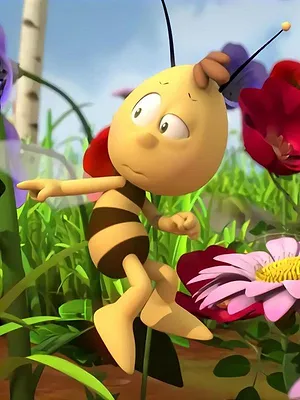 Maya l'abeille 3D S2 E5