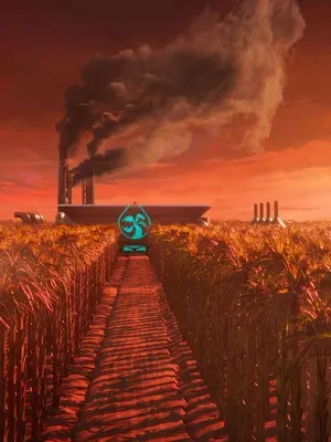 Ozi, la voix de la forêt