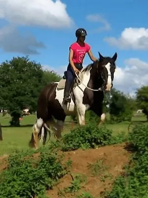 Au galop !