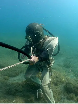 Invitation au voyage