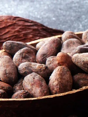 Les nouveaux défis des rois du chocolat