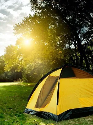 Vive le camping