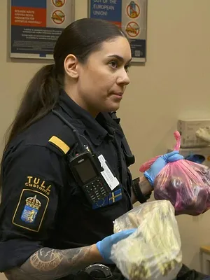 Au cœur des douanes : Suède