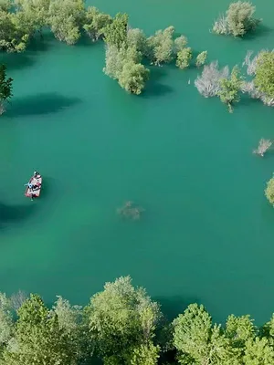 Carnassiers en eaux turquoises