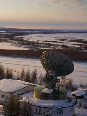Retour à l'âge de glace, l'hypothèse de Zimov