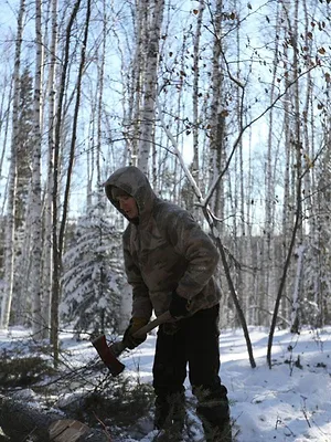 Alaska : nouvelle vie