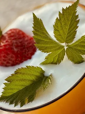 Cuisines des terroirs