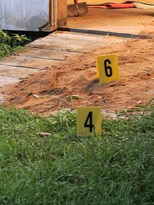 Les raisons du crime, avec Tamron Hall