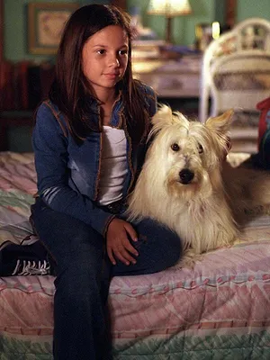 7 à la maison S7 E2