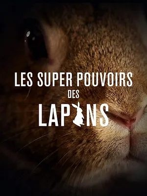 Les super-pouvoirs des lapins