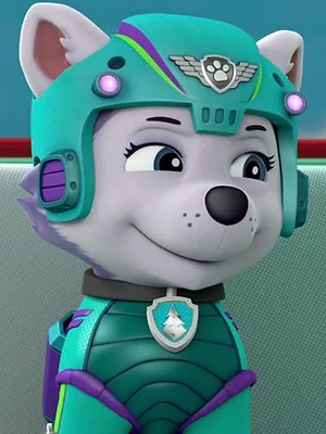 Paw Patrol, la Pat'Patrouille S7 E3