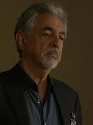 Esprits criminels S14 E12