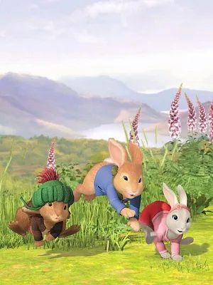 Pierre Lapin