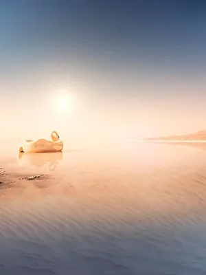 Notre planète (in)habitable