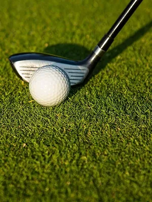 Golf : Danish Golf Championship
