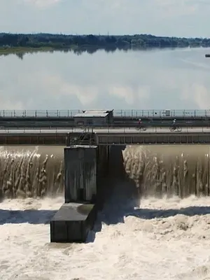 Des mains vertes pour la nature