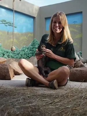 Refuges pour animaux sauvages