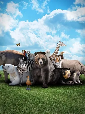 Grau de Perigo Animal