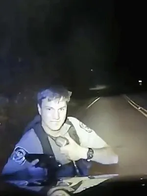 Sur le vif : vidéos insolites