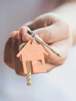 La minute de l'immobilier