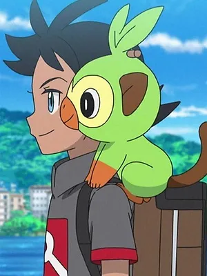 Pokémon, les voyages S25 E35