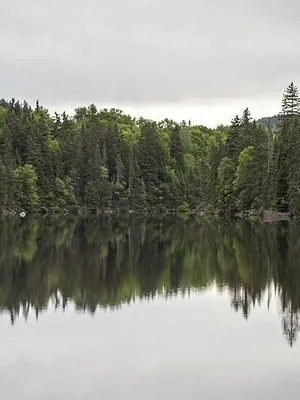 Québec à vol d'oiseau