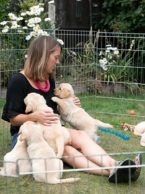 A l'école des chiens guides