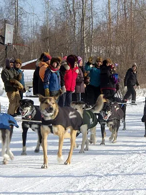 Into The Wild : Alaska
