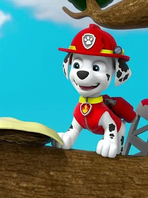 Paw Patrol, la Pat'Patrouille S3 E12
