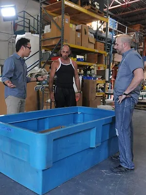 Les rois des aquariums