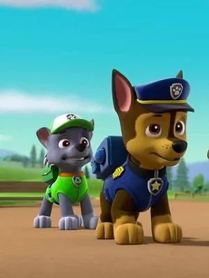 Paw Patrol, la Pat'Patrouille S6 E3