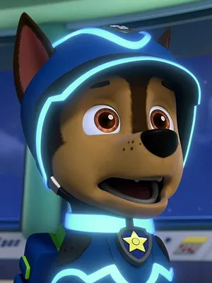 Paw Patrol, la Pat'Patrouille S8 E14