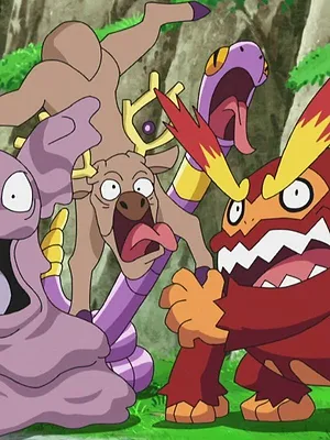 Pokémon, les voyages S23 E23