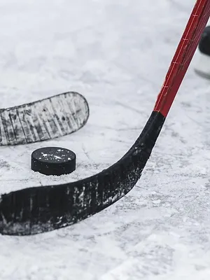 Team Suisse / Suède