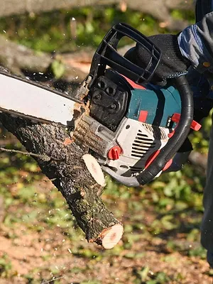 Bûcheron : un métier à hauts risques