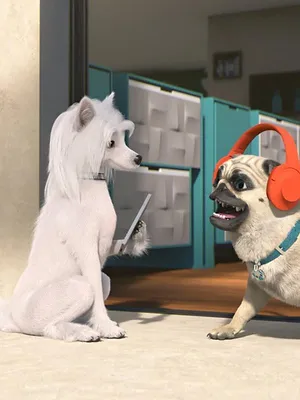 Mike, une vie de chien S1 E27