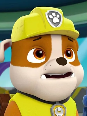 Paw Patrol, la Pat'Patrouille S4 E15