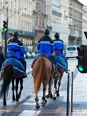 Chroniques criminelles