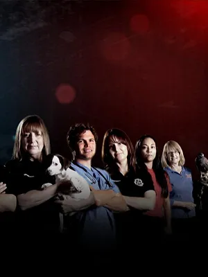 Animal Cops