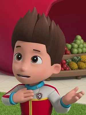 Paw Patrol, la Pat'Patrouille S10 E18