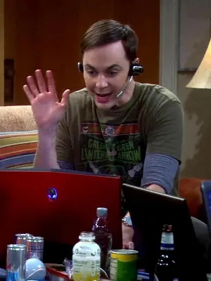 Big Bang Theory S5 E19