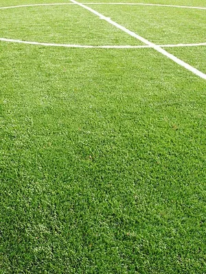 La grande soirée Ligue 1