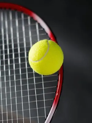 Tennis : Tournoi WTA de Bad Homburg