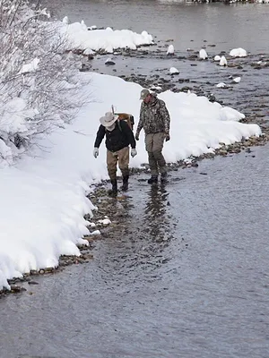 Seuls face à l'Alaska