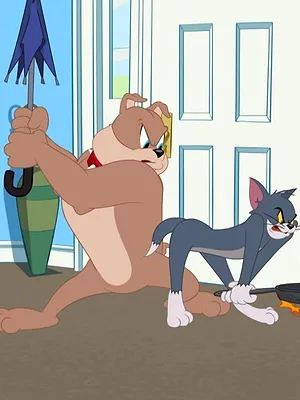 Tom et Jerry Show S5 E35